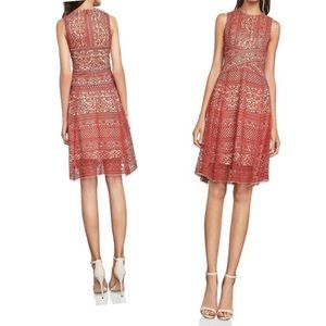 BCBG Lace Dress